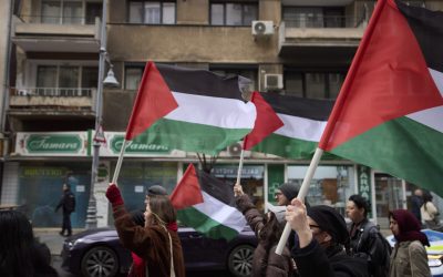 ID297814_INQUAM_Photos_Codrin_Unici-1600x1067-1.jpg - RevistaPolitica