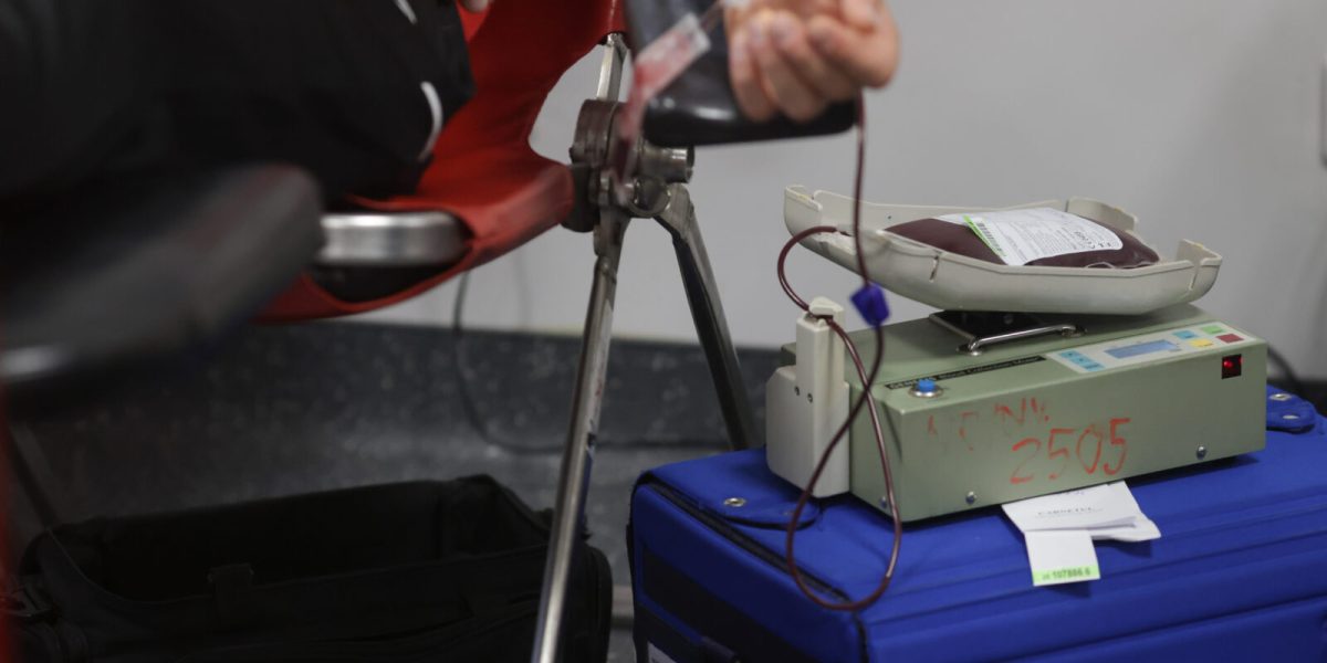 ID318910_INQUAM_Photos_George_Calin-1600x1067-1.jpg - RevistaPolitica