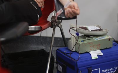 ID318910_INQUAM_Photos_George_Calin-1600x1067-1.jpg - RevistaPolitica