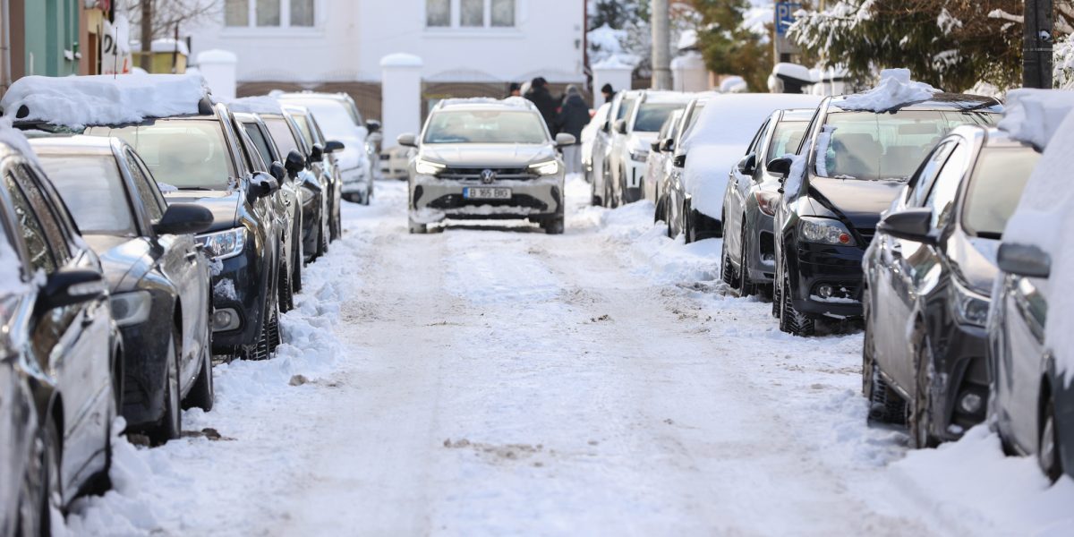 ID330491_INQUAM_Photos_Simion-Sebastian_Tataru.jpg - RevistaPolitica