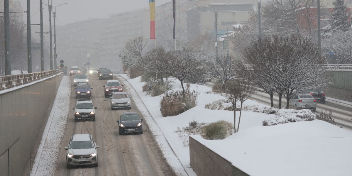 ID330595_INQUAM_Photos_George_Calin_f23c82.jpg - RevistaPolitica