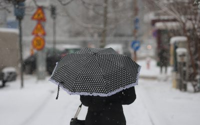 ID330607_INQUAM_Photos_George_Calin-1.jpg - RevistaPolitica