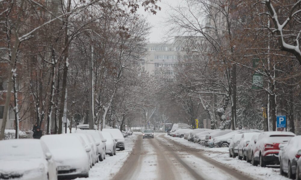 ID330609_INQUAM_Photos_George_Calin-1000x667.jpg - RevistaPolitica