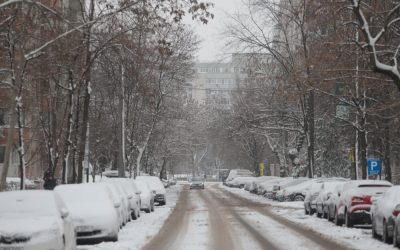 ID330609_INQUAM_Photos_George_Calin-1000x667.jpg - RevistaPolitica