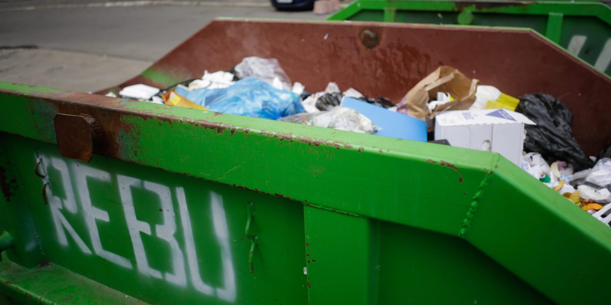 ID65550_INQUAM_Photos_George_Calin-scaled.jpg - RevistaPolitica