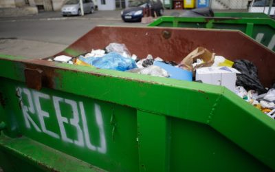 ID65550_INQUAM_Photos_George_Calin-scaled.jpg - RevistaPolitica