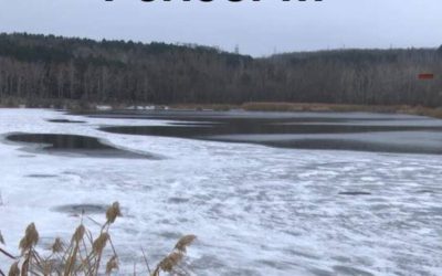 Lacurile-din-Ilfov-inghetate-acces-interzis-a.jpg - RevistaPolitica