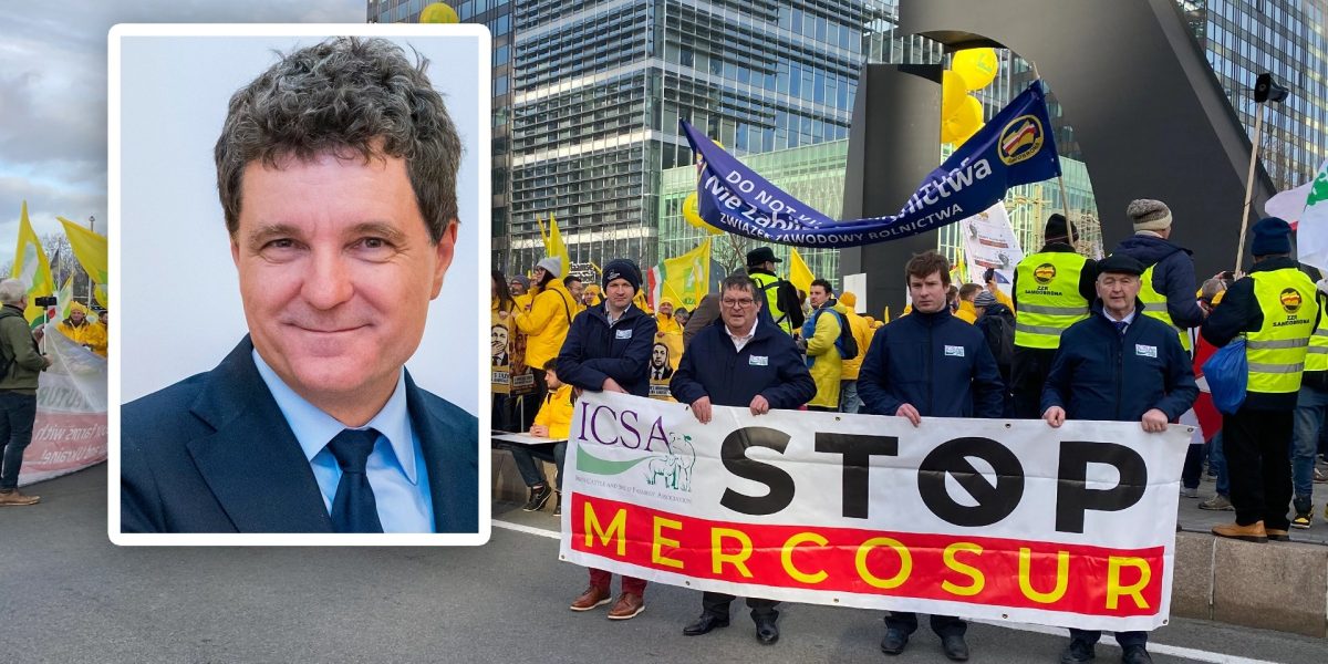 Nicusor-Dan-spune-ca-Romania-sustine-acordul-Mercosur.webp.jpeg - RevistaPolitica