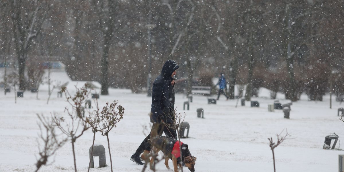 Ninsoare-in-Bucuresti-parcul-IOR.jpg - RevistaPolitica