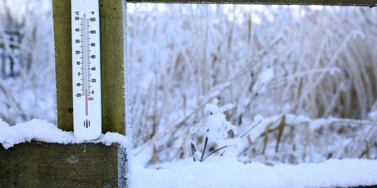 PTYzMCZ6Yz0xJmhhc2g9ZGJmNDVhNzE3MWJjNmQ0N2RiNTUwZTYwMWY5YzdlOTM.thumb_.jpg - RevistaPolitica