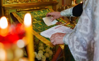 PTg3ODgyMGQ2NTg4MmEyNWIzMzI5YjYyZmMyNzg1OTAy.thumb_.jpg - RevistaPolitica