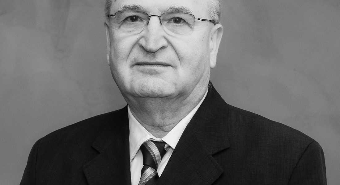 Proiect de țară: Intrarea României în Zona Euro, propune Vasile - RevistaPolitica