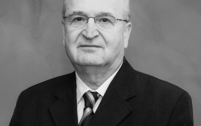 Proiect de țară: Intrarea României în Zona Euro, propune Vasile - RevistaPolitica