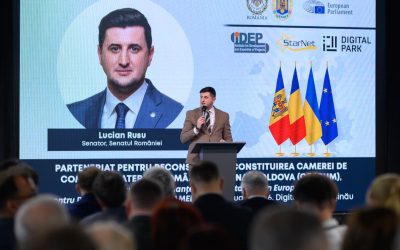 Reconstrucția Ucrainei, posibilă doar prin parteneriat regional coerent - Rusu - RevistaPolitica