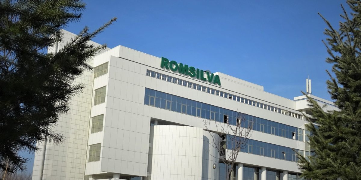 Romsilva deschide selecția pentru poziția de director general - RevistaPolitica