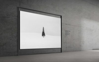 Samsung-TVs-and-Displays-Samsung-Micro-RGB-TV_2.jpg - RevistaPolitica