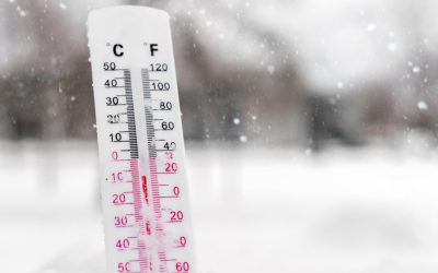 aGFzaD03M2RhMmRlOTYyOTYzMTY3NTRlYWZiMGYyMzNmOWU1Zg.thumb_.jpg - RevistaPolitica