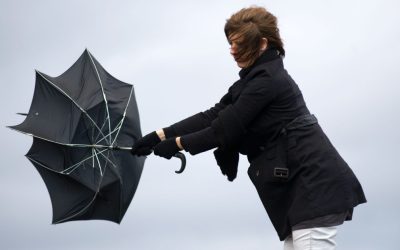 aGFzaD0zNDUyYjgxN2M5Nzk2MDIxODQ2YmEwNDc0ODYzN2MyMg.thumb_.jpg - RevistaPolitica