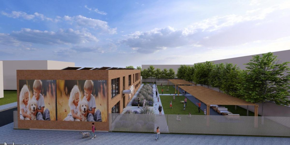 aspa-centru-pallady-nou-3.jpg - RevistaPolitica