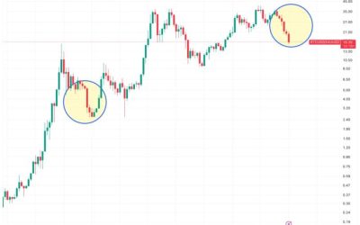 bd0c622f5b6e2a79489c2f09c02e7be8ffaf118a-2562x1988.png - RevistaPolitica