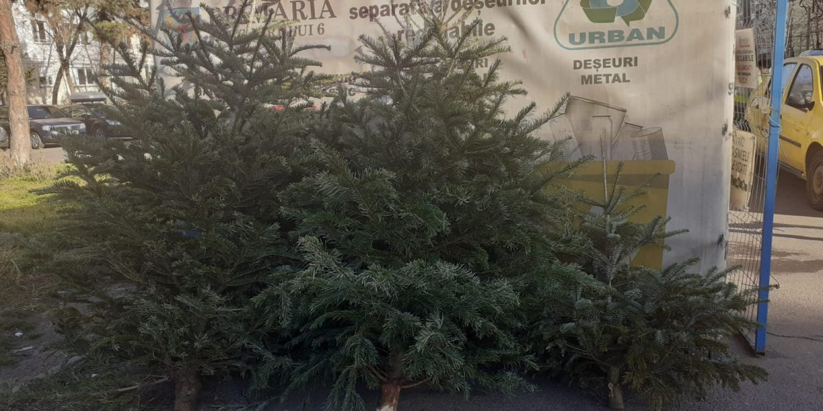 brazi.jpeg - RevistaPolitica