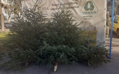 brazi.jpeg - RevistaPolitica