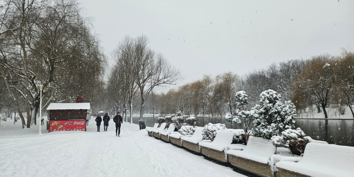 bucuresti-zapada-parc.jpeg - RevistaPolitica