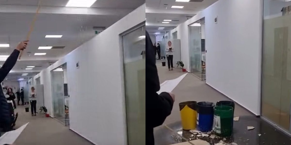 collage-49.jpg - RevistaPolitica