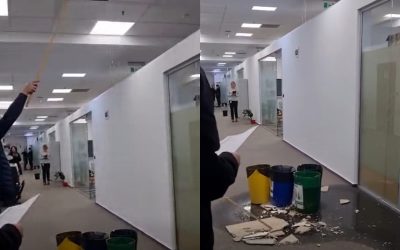 collage-49.jpg - RevistaPolitica