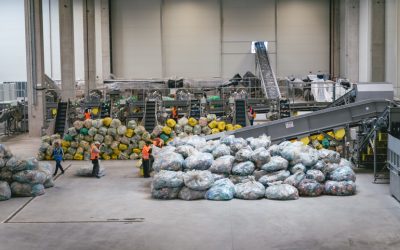 edi1142.jpg - RevistaPolitica