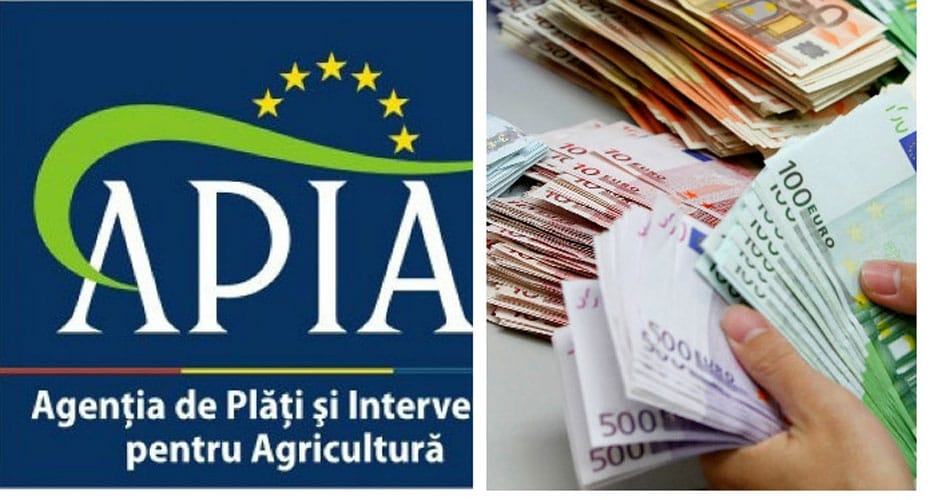 foto-bun-apia_o-1.jpg - RevistaPolitica