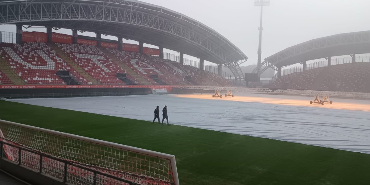 gazon-arena-francisc-neuman.jpeg - RevistaPolitica