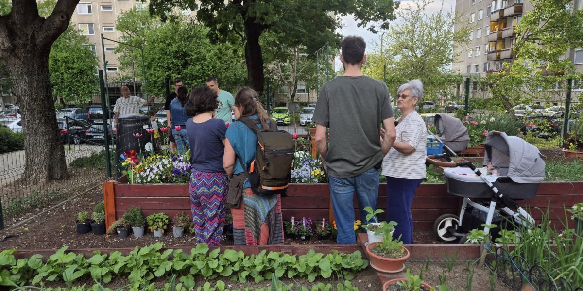 gradinile-comunitare1-debrecen.jpg - RevistaPolitica