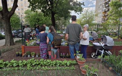 gradinile-comunitare1-debrecen.jpg - RevistaPolitica