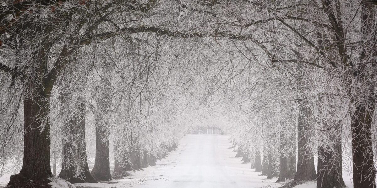 iarna-1-e1769604372685.jpg - RevistaPolitica