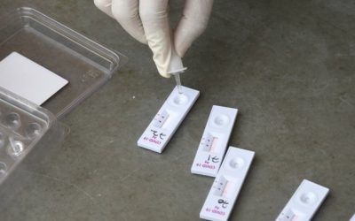 img-1-1.jpg - RevistaPolitica