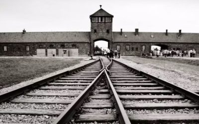 instagram-zdjecia-auschwitz-birkenau-1180x541-1-1000x485.jpg - RevistaPolitica