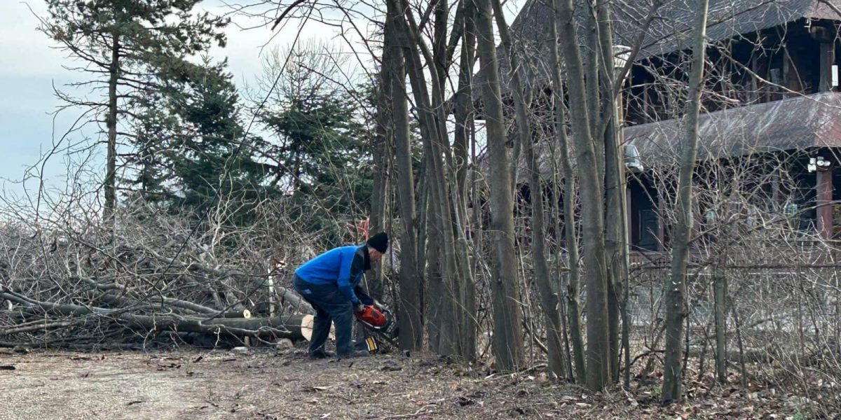 ior-aprc-1.jpg - RevistaPolitica