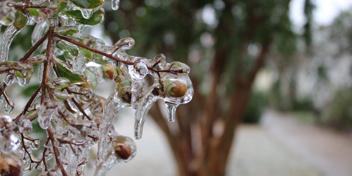 meteo-1.jpg - RevistaPolitica