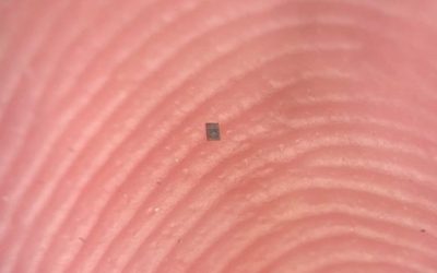 microrobot.jpg - RevistaPolitica