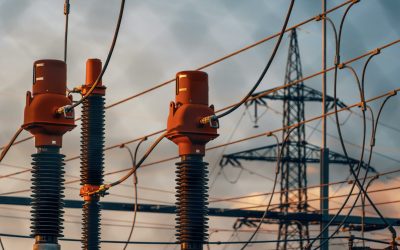 pexels-michael-pointner-134459625-28912010-scaled.jpg - RevistaPolitica