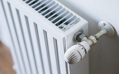 repartitoare_INQUAM_Photos_Virgil_Simonescu.jpg - RevistaPolitica