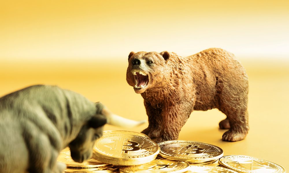 shutterstock_1982668922.jpg - RevistaPolitica