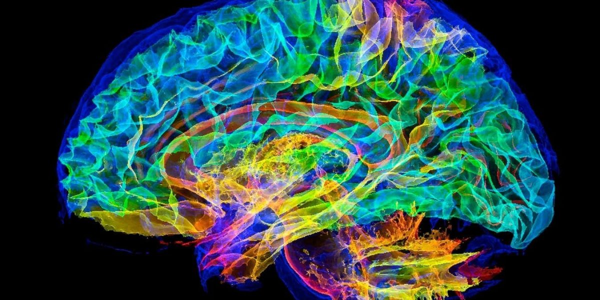 simulare-creier-uman-supercomputer.jpg - RevistaPolitica