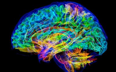 simulare-creier-uman-supercomputer.jpg - RevistaPolitica