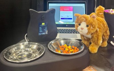 statie-pisici-ai-tails.jpg - RevistaPolitica