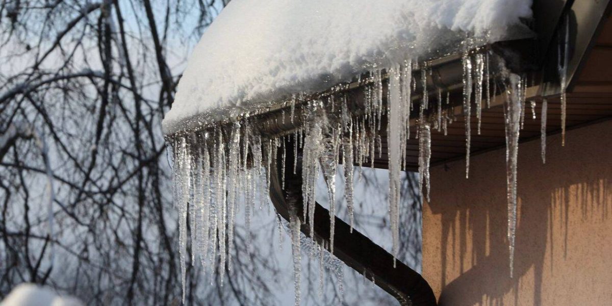 turturi.jpg - RevistaPolitica