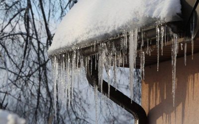 turturi.jpg - RevistaPolitica