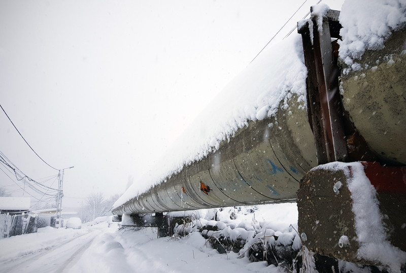 viscol.jpg - RevistaPolitica