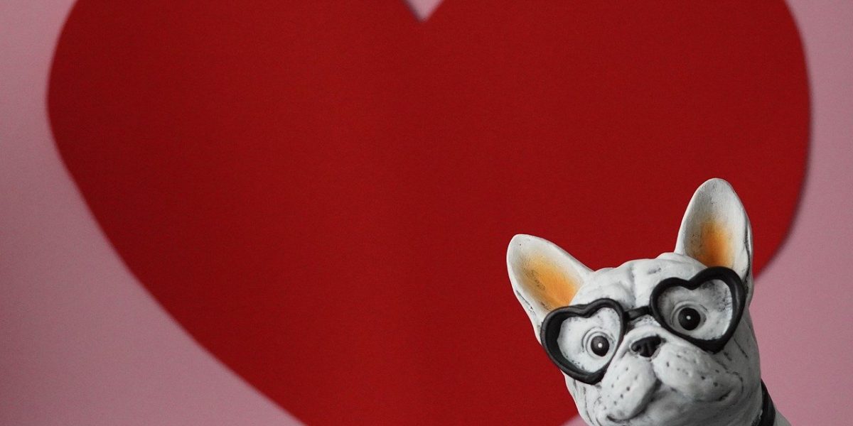 13-19-februarie_pixabay.jpg - RevistaPolitica